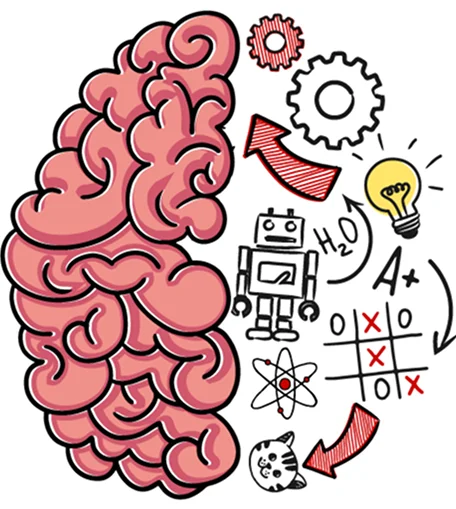 Brain Test